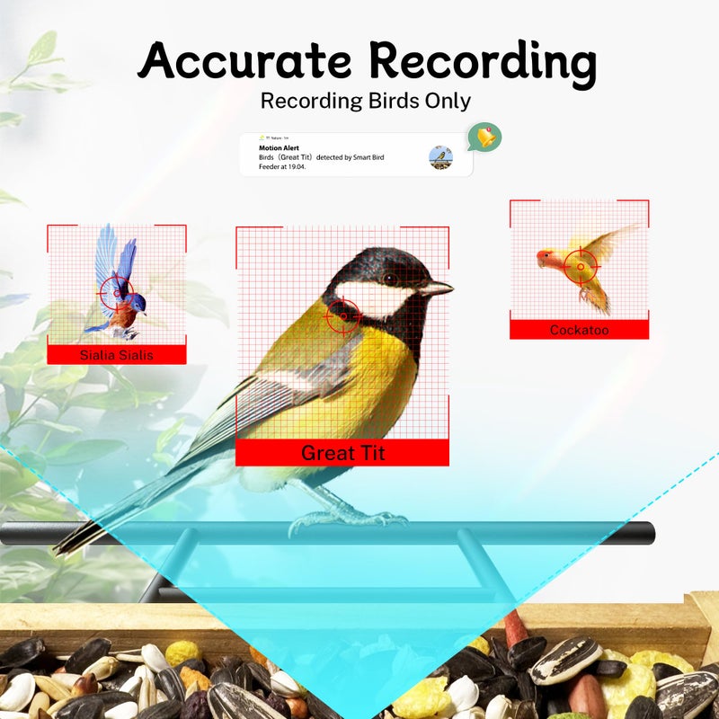 TT Nature Bird Feeder with Camera  Upgraded 1.5L Smart Bird Feeder with AI Identify for 10000 Plus Bird Species  Auto Capture Bird & Real-time Notifications  Ideal Gift for Bird Lovers (Iron Roof) - Image 4